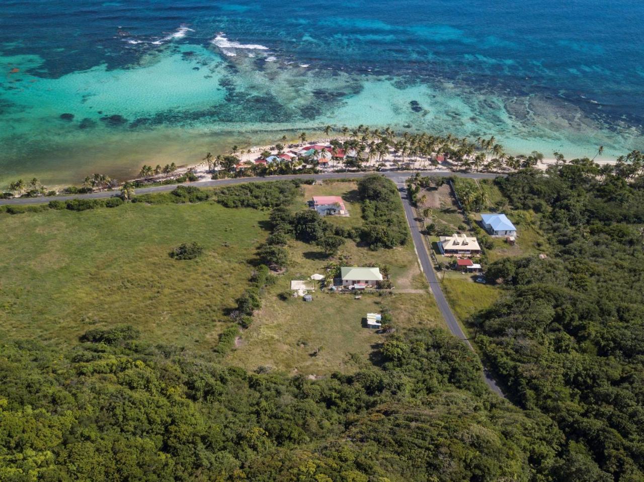 Coccoloba & Jacaranda Villa *