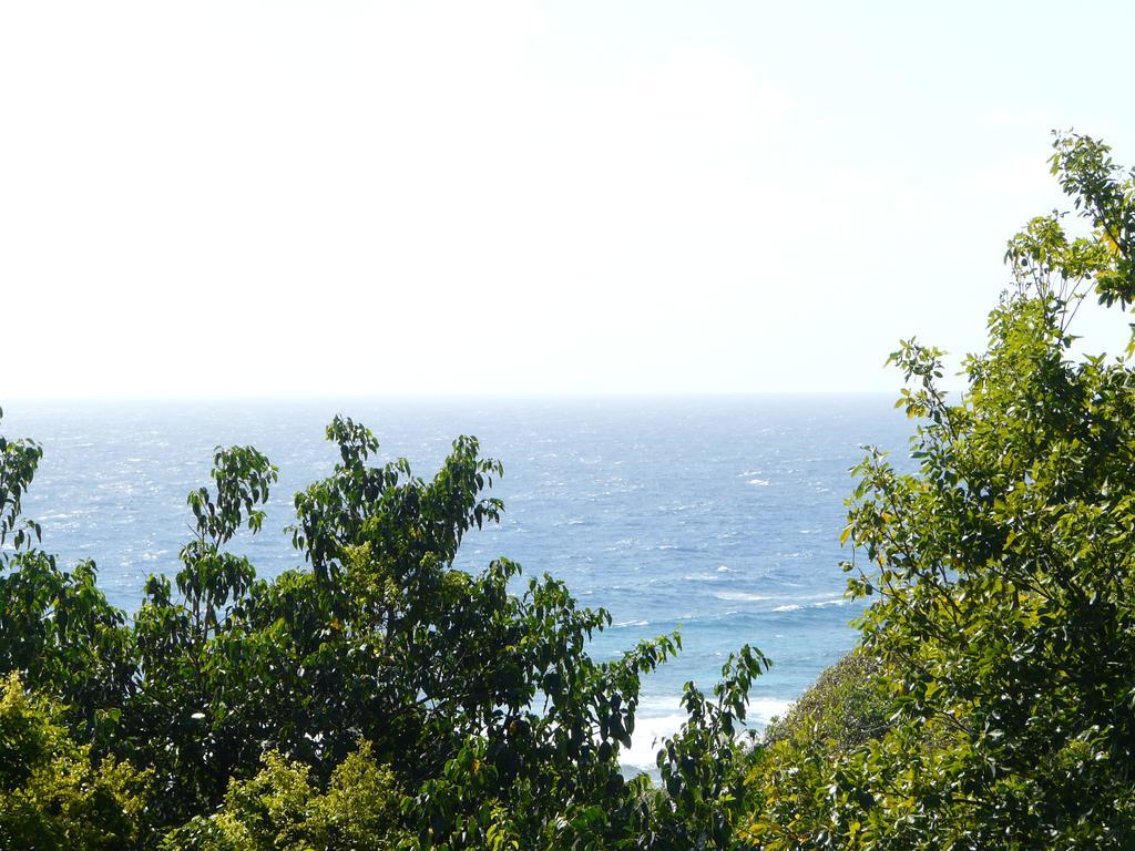 Villa Coccoloba & Jacaranda Capesterre